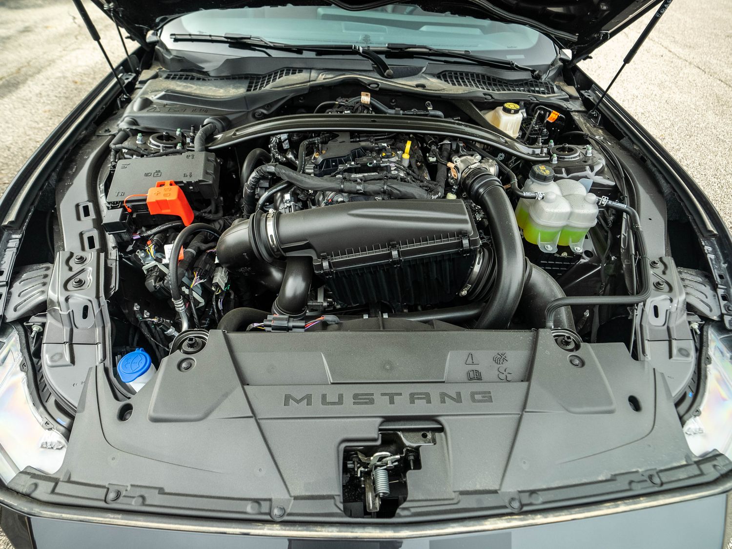 Ford Mustang EcoBoost® Premium Fastback 2024