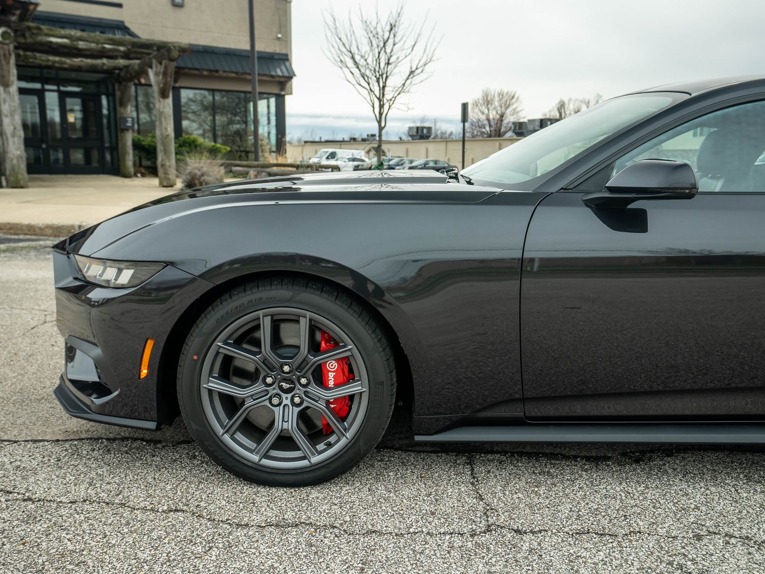 Ford Mustang EcoBoost® Premium Fastback 2024