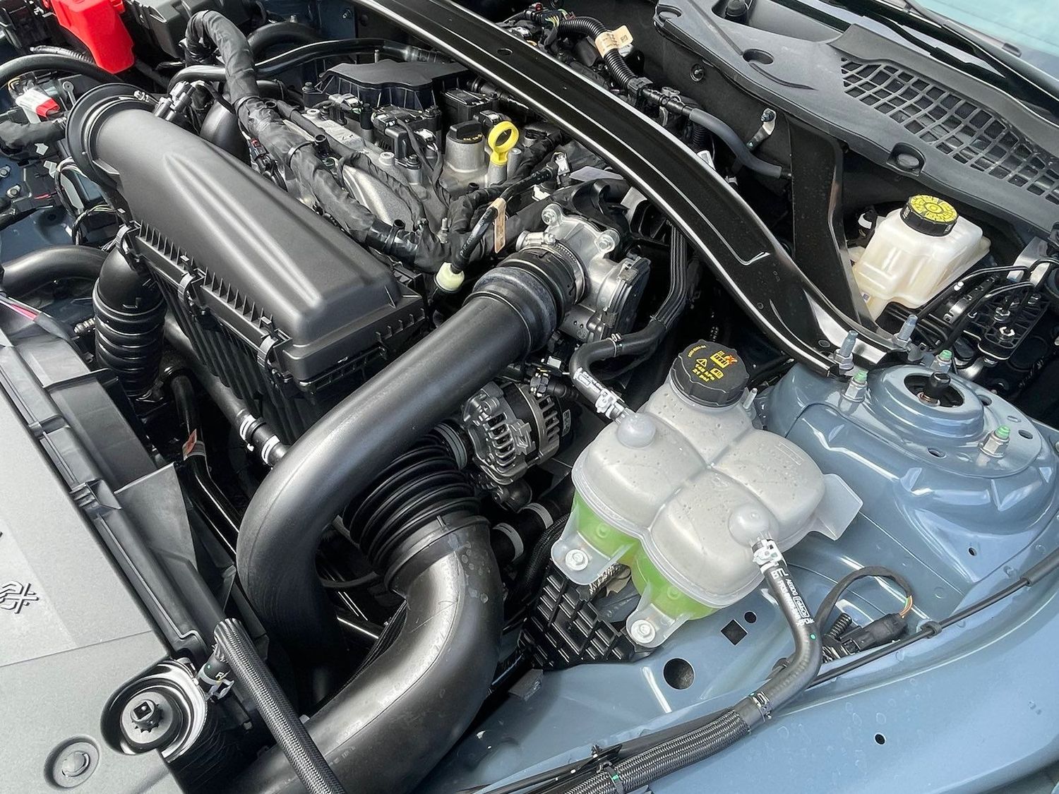 Ford Mustang EcoBoost® Premium Fastback 2024